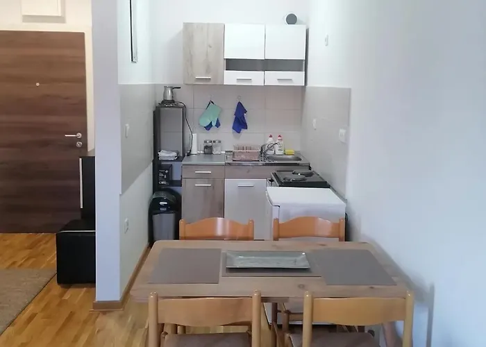 Bojana Vrnjačka Banja